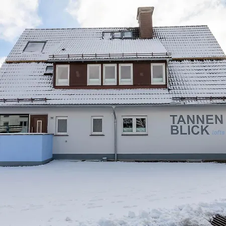 Familien Loft Im Haus Tannenblick Lofts Apartment *