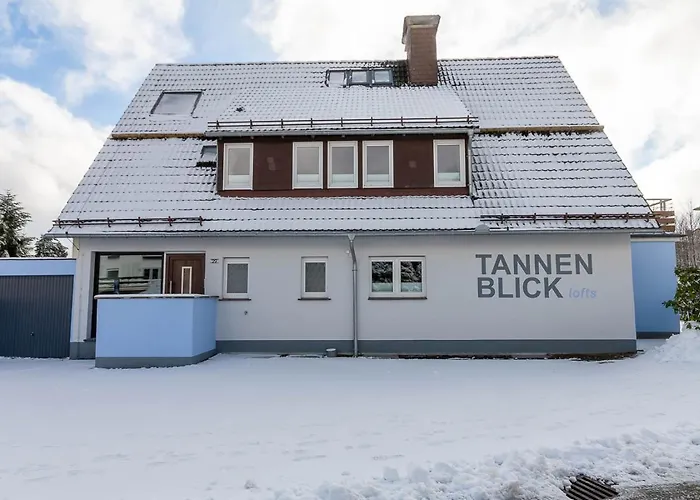Familien Loft Im Haus Tannenblick Lofts Апартаменты *