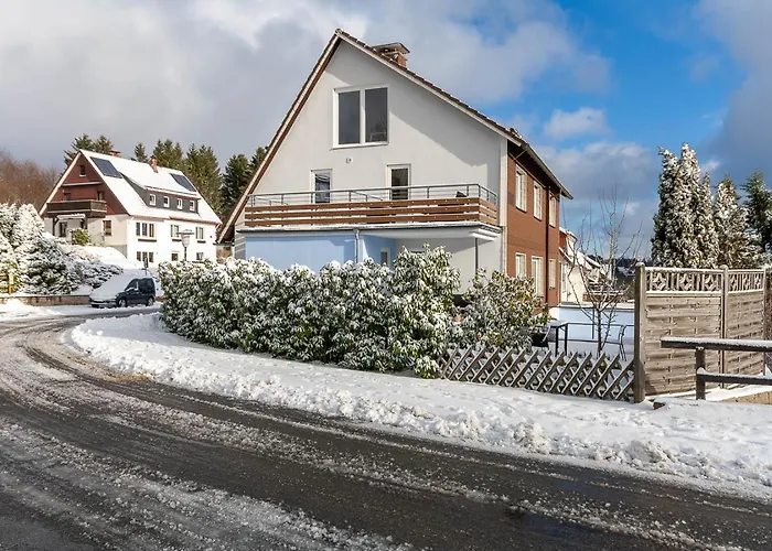 Familien Loft Im Haus Tannenblick Lofts Апартаменты Браунлаге